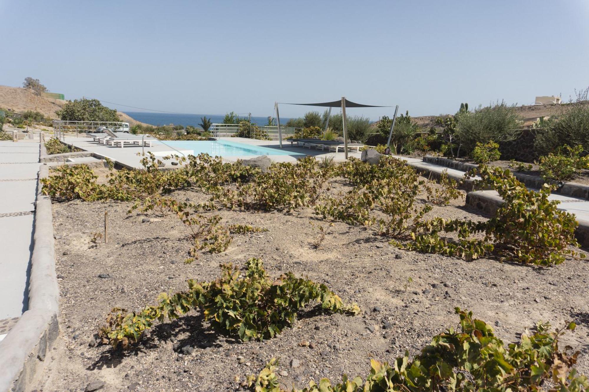 Villas Scirocco Fira (Santorini) Exterior foto